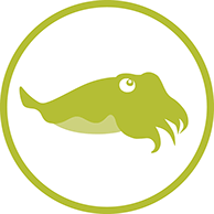 Cuttlefish Swim Lessons - Pods Swimming - East Providence, RI